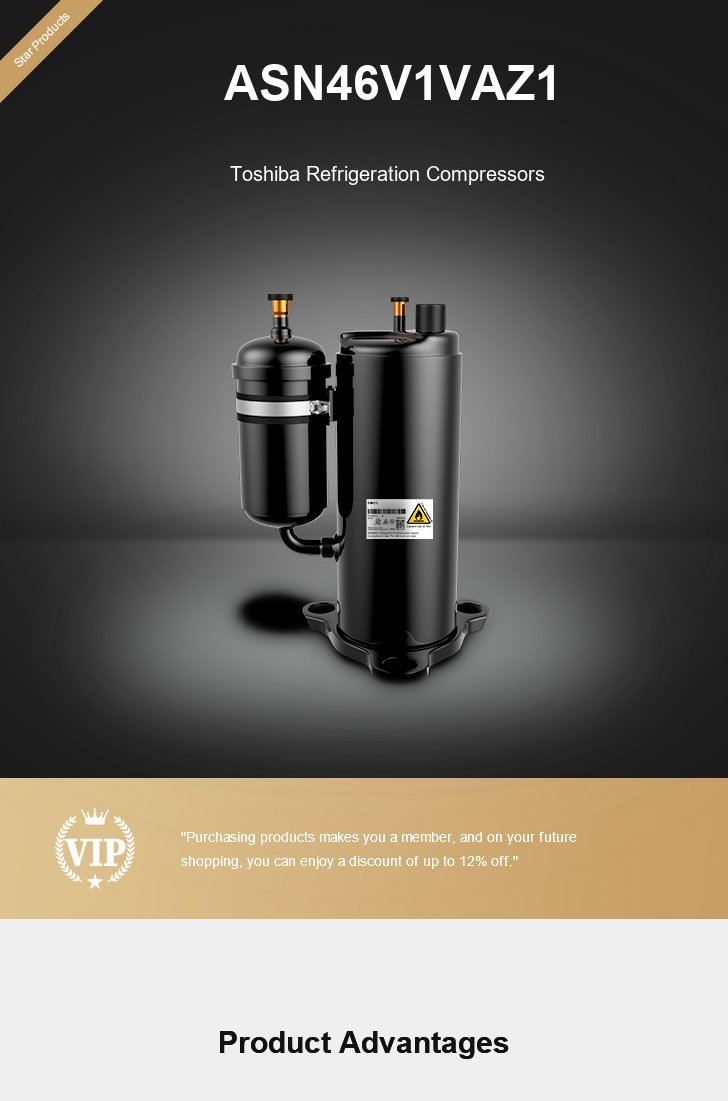 Toshiba Compressor ASN46V1VAZ1, technical parameters pdf, structure diagram